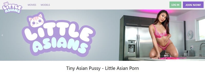 littleasians-homepage
