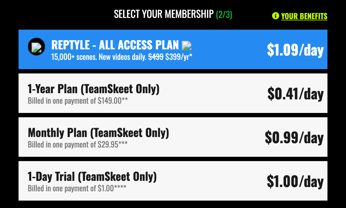 TeamSkeet pricing